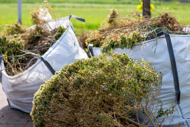 Best Junk Removal Near Me  in Chattanooga, TN