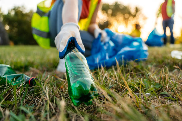 Yard Cleanup Services in Chattanooga, TN